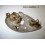 Left indicator sidelight bulb holder HUSSEX R53-R56