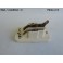 Platine plafonnier SEIMA 35300