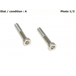Paire vis sp&eacute;ciales en inox BTR 30mm pour CIBIE 150