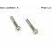 Pair of inox screws 16mm