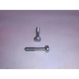 Pair of special screws for light 20mm