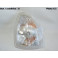 Right indicator light CARELLO 16.430.716
