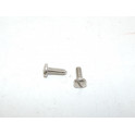 Pair of inox screws 10mm (larg head)