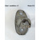 Sidelight indicator bracket HELLA K23239