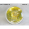 Phare Route H1 CIBIE 440233