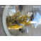 Headlight Iode H4 CIBIE 6670057