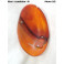 Left taillight lens SCINTEX 3874G