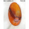 Cabochon feu arrière droit SCINTEX 3874D