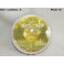 Headlight Code H1 SEV MARCHAL 61260403