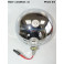 AUTEROCHE 510 - Foglight (lacquered)