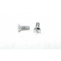 Pair of inox screws 6mm HELLA