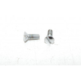 Pair of inox screws 6mm HELLA