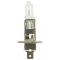 H1 - Bulb 12V 55W