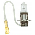 H3 - Bulb 12V 100W
