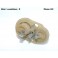 Front light indicator bulb holder SEIMA 10560