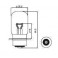 P22S P36S - Lampe 12V 45W jaune