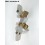 Taillight bulb holder SCINTEX Corail