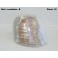 Right front light indicator CIBIE (VALEO 082067)