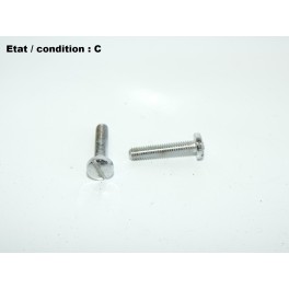 Paire vis sp&eacute;ciales en inox 20mm (t&ecirc;te large)