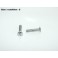 Pair of inox screws 20mm (larg head)
