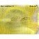 SEV MARCHAL Starlux 780 - Foglight 63210002