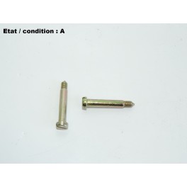 Pair of galvanized steel-bichromate screws 28mm