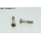 Pair of nickel plated brass screws for CIBIE Oscar