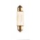Festoon - Bulb 6V 4W 10x38
