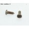 Paire vis spéciales en inox 10mm (tête large)