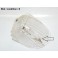 Left front light indicator lens PK 6726