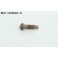Screw 13mm (domed head)