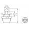 B10d - Bulb 12V 5W halogen black