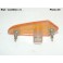 Wing indicator light ALTISSIMO 21.2050