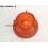 Front light indicator lens PK LMP 6727