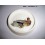 ARA 402 - Platine blanche feu BA15d (2 plots)