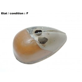 Cabochon feu clignotant d'aile gauche AXO