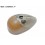 Left front wing indicator light lens AXO