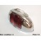 Right sidelight lens Fanal MARCHAL 7654D (glass, chromed)