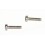 Pair of inox screws 23mm