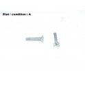Pair of screws 17mm