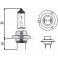 H7 - Lampe 24V 70W