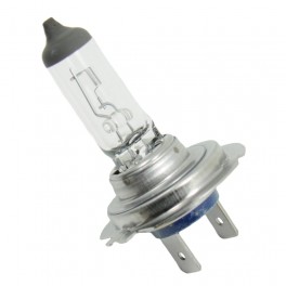 H7 - Lampe 24V 70W