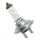 H7 - Lampe 24V 70W