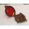 Complete tailight with lighting for licence plate HARPON
