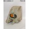 Left front light indicator FRANKANI 3080703
