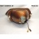 Right headlight european code + H1 "Kangourou" CIBIE 480034