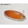 Cabochon feu clignotant avant SWF K23244