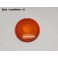 Front light indicator lens FFUA 1766