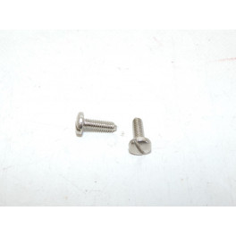 Pair of inox screws 17mm (larg head)