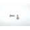 Pair of inox screws 17mm (larg head)